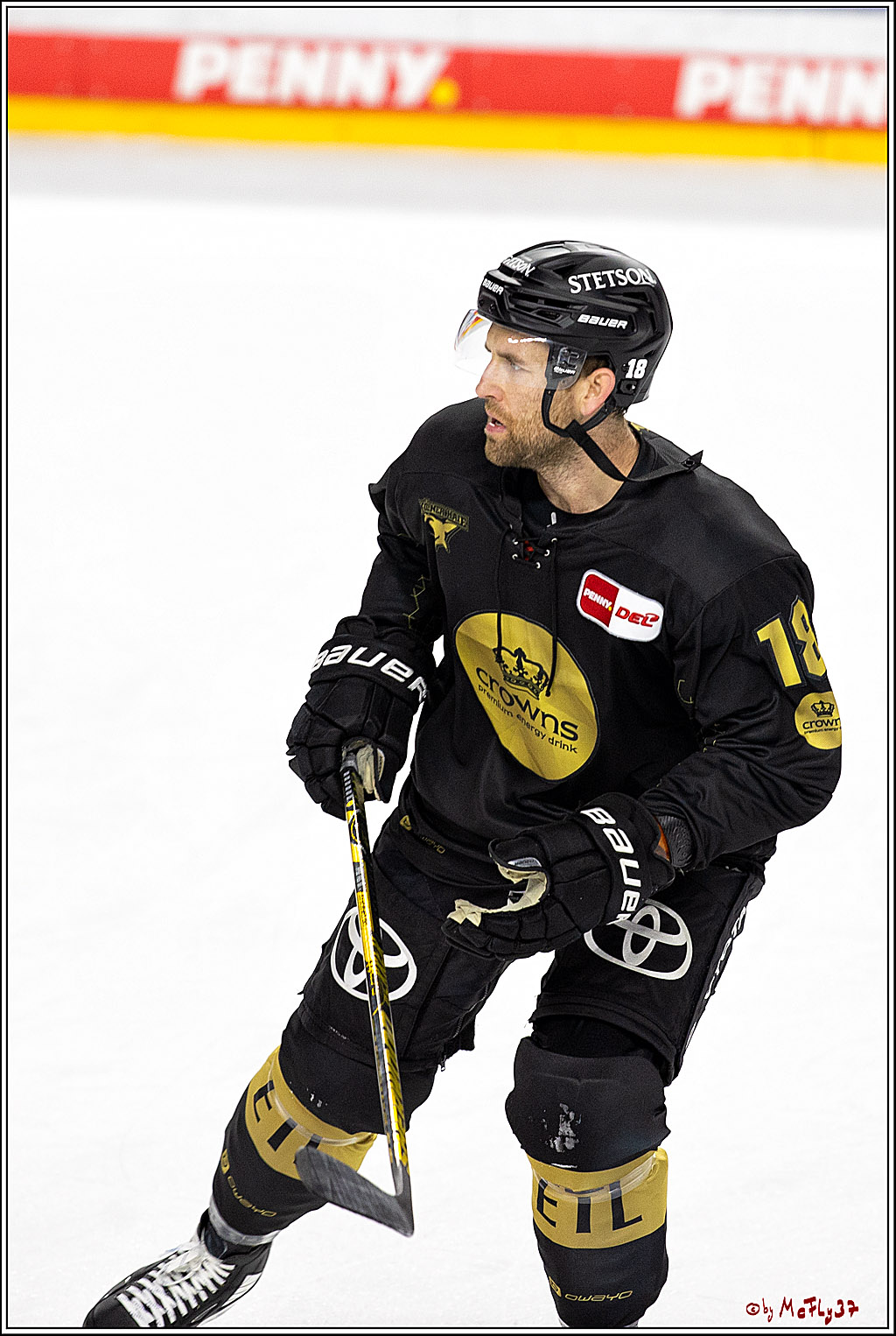 PENNY DEL;  Kölner Haie - ERC Ingolstadt; Köln, 25.11.2022